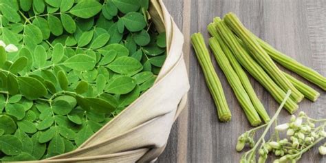 Health Benefits and Uses of Malunggay, the Wonder Gulay.